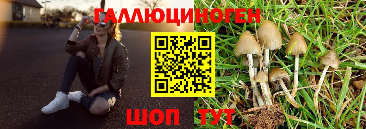 Псилоцибиновые грибы MAGIC MUSHROOMS  Вход с VPN  Краснодар 