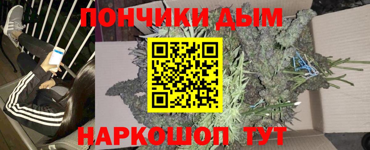 Бошки марихуана Bruce Banner  Вход с VPN  Конопля OG Kush  Краснодар 